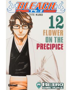 Manga Bleach tome 12