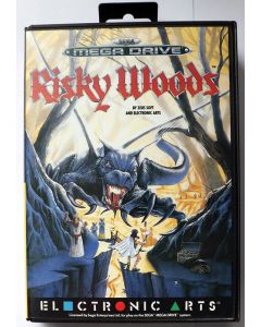 Risky Woods Megadrive